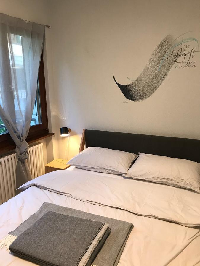 Gambarogno Al Grottino Bed & Breakfast エクステリア 写真